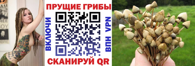 Галлюциногенные грибы Cubensis  Сыктывкар 